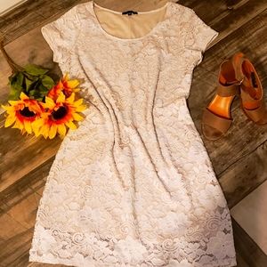 Lace knee length dress